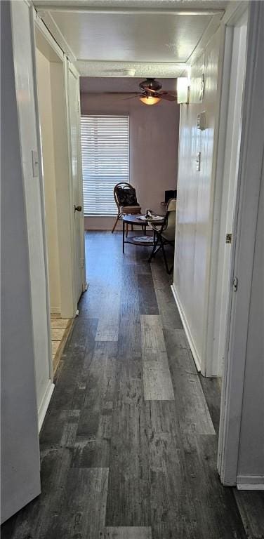 hall featuring dark hardwood / wood-style flooring