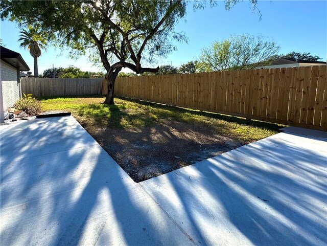 view of yard featuring a patio area