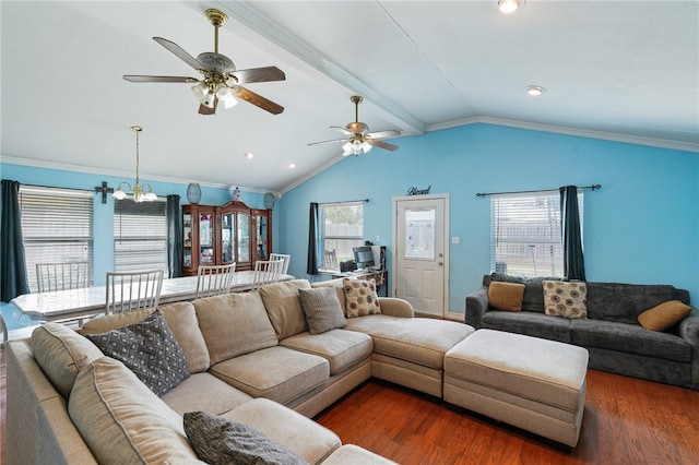 living room with ceiling fan with notable chandelier, dark wood-type flooring, a healthy amount of sunlight, and lofted ceiling with beams