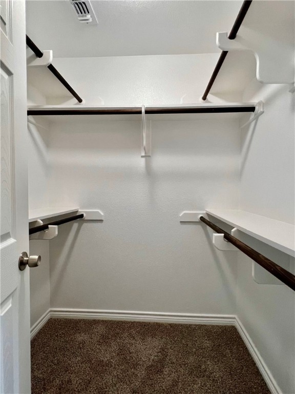 spacious closet with carpet floors