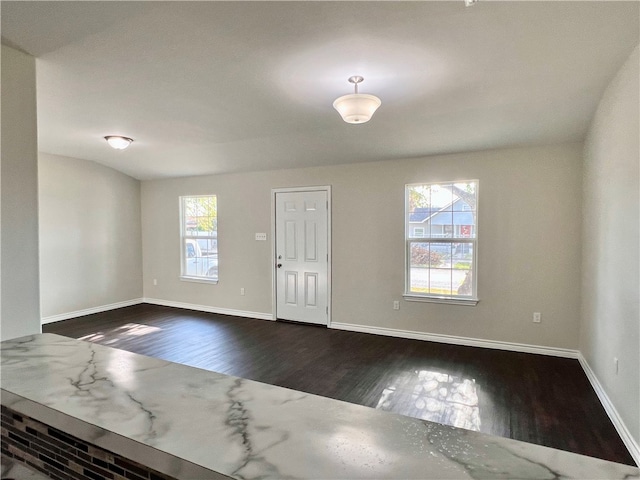 entryway with plenty of natural light and dark hardwood / wood-style flooring