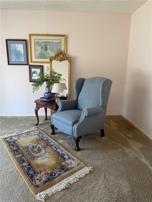 living area featuring a textured ceiling and carpet flooring