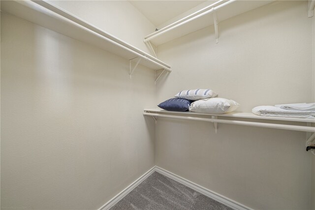 spacious closet with carpet flooring