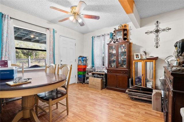 dining area with ceiling fan, light hardwood / wood-style floors, and a textured ceiling