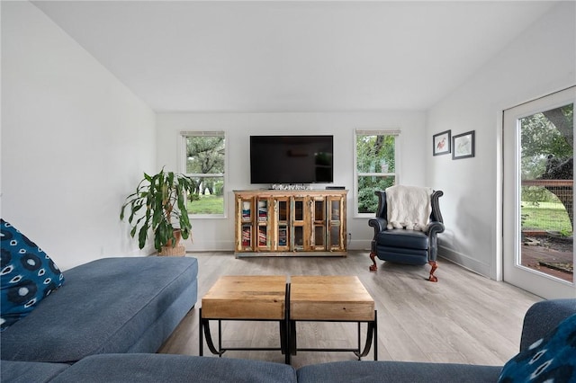 living room featuring plenty of natural light and hardwood / wood-style flooring