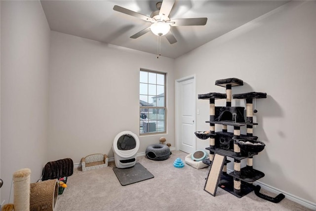 exercise area featuring ceiling fan and carpet flooring