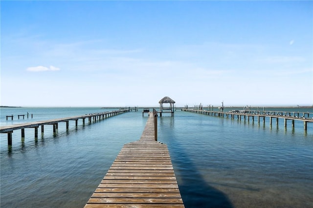 dock area with a water view