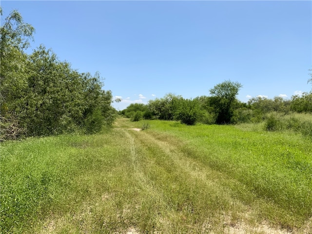 Address Not Disclosed, Sinton TX, 78387 land for sale