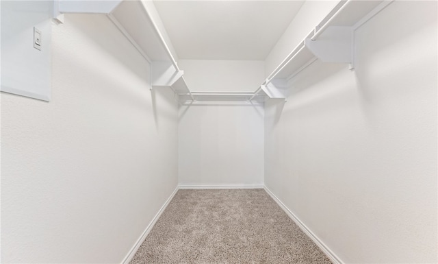 spacious closet featuring carpet