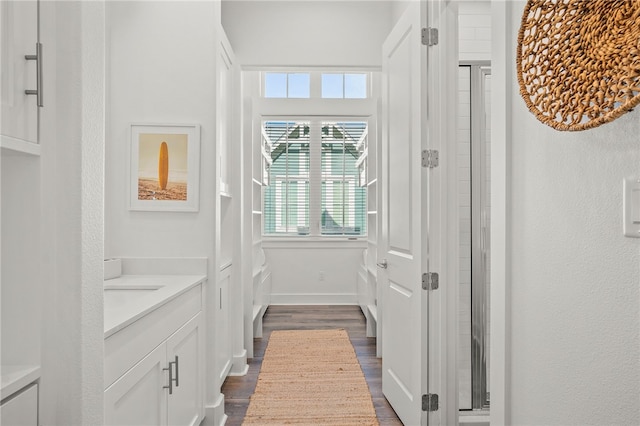 bathroom featuring vanity, an enclosed shower, a wealth of natural light, and wood-type flooring