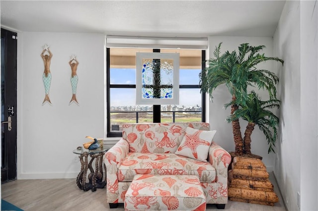 living room with baseboards and wood finished floors