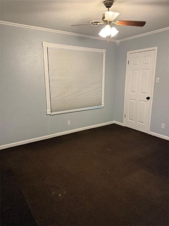 327 Taylor Rd, Falfurrias, TX 78355 - photo 6