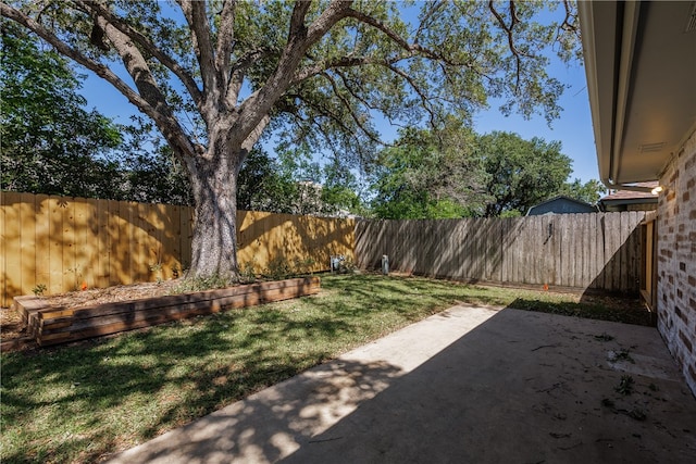 view of yard featuring a patio