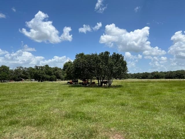 8652 State Highway 111 E, Yoakum, TX 77995 - photo 35
