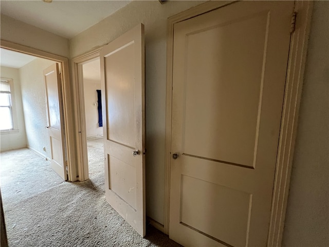 hallway featuring carpet floors