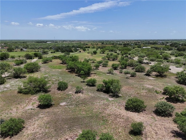11688 Fm 70, Robstown, TX 78380 - photo 11