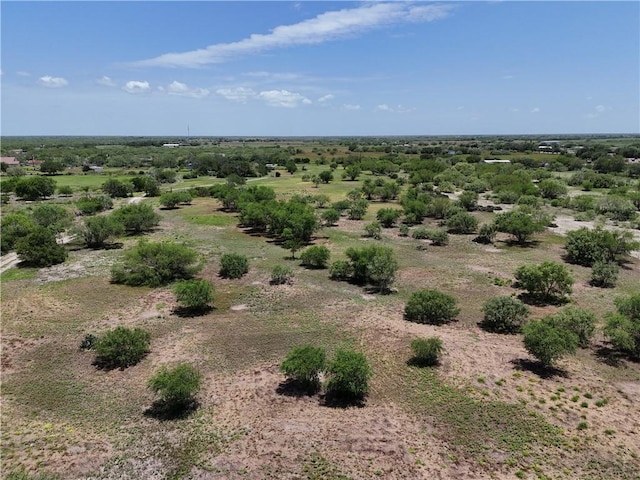 11688 Fm 70, Robstown, TX 78380 - photo 12
