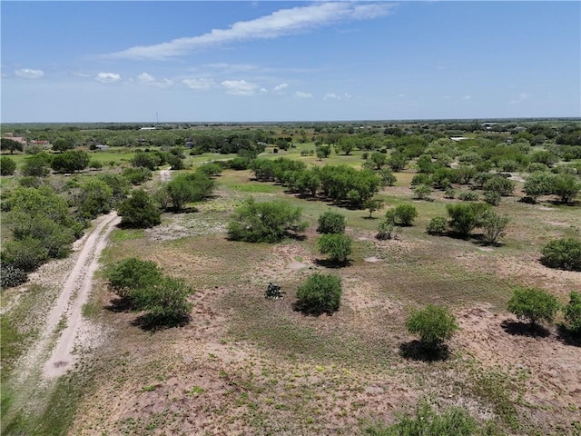 11688 Fm 70, Robstown, TX 78380 - photo 5
