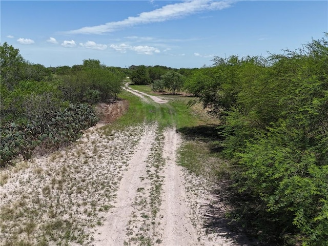 11688 Fm 70, Robstown, TX 78380 - photo 14