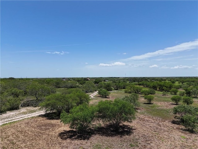 11688 Fm 70, Robstown, TX 78380 - photo 10