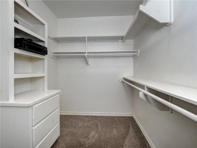 walk in closet with dark colored carpet