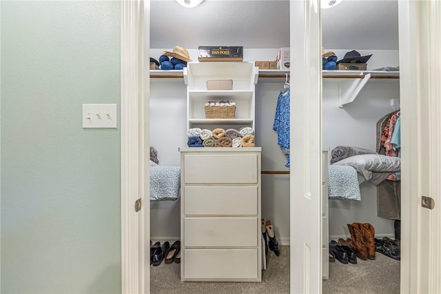 spacious closet featuring carpet floors