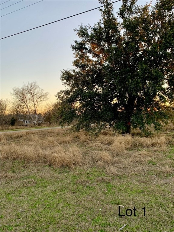 305 N 4th St, Skidmore TX, 78389 land for sale