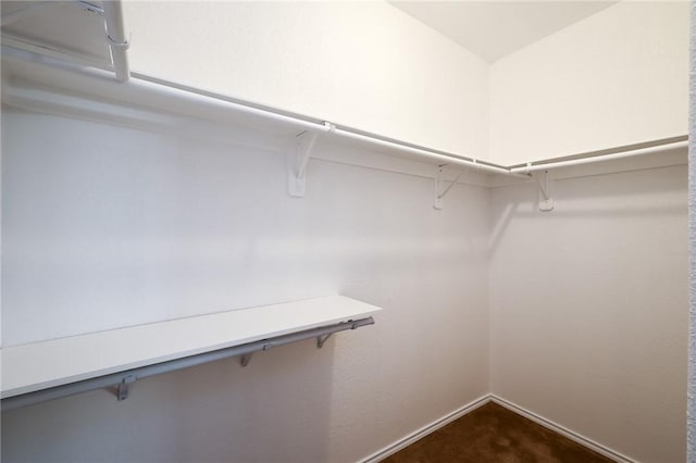 spacious closet with dark colored carpet