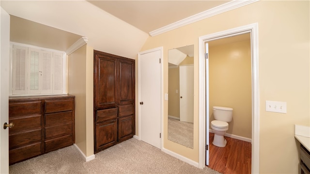 bathroom featuring toilet, vanity, and ornamental molding