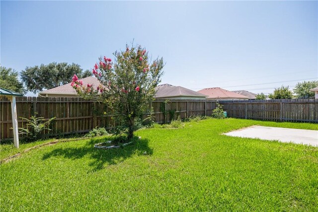 6513 Purplewing Dr, Corpus Christi, TX 78414 - view of yard