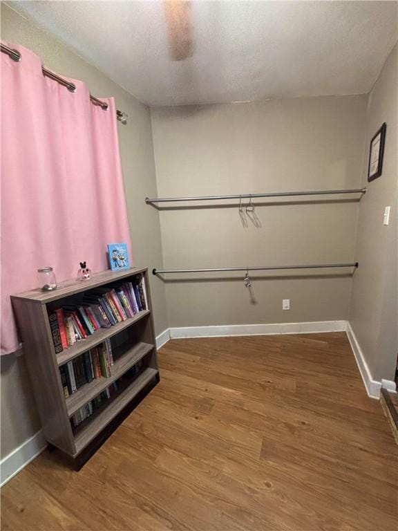 spacious closet with wood-type flooring