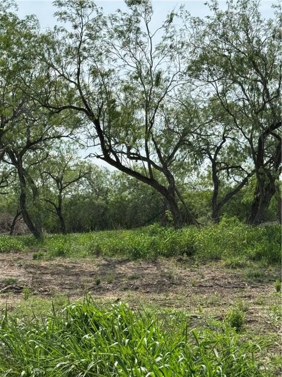 5525 Ravine, Robstown, TX 78380 - photo 8