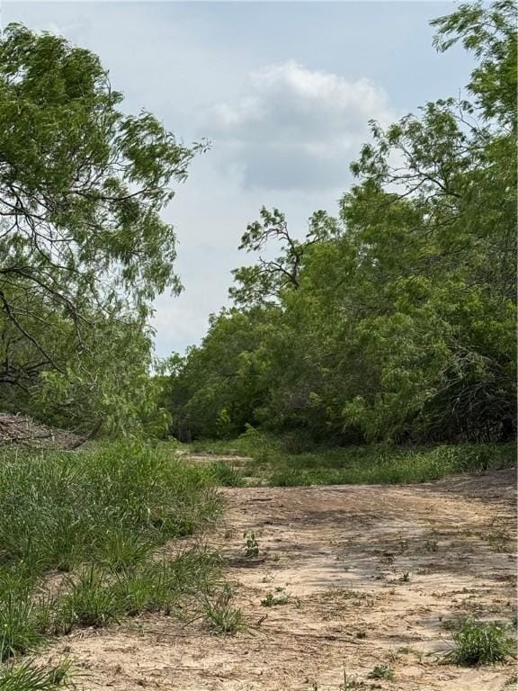 5525 Ravine, Robstown, TX 78380 - photo 9