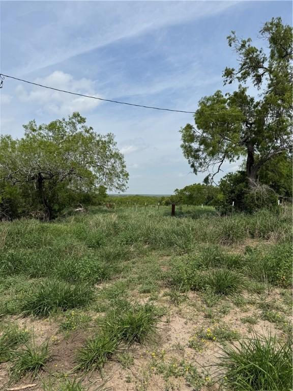 5525 Ravine, Robstown, TX 78380 - photo 6