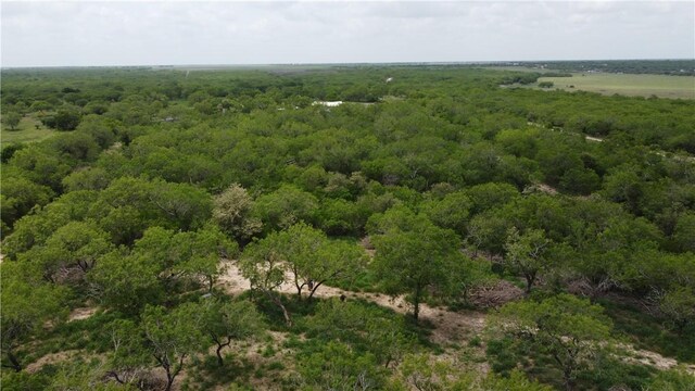 5525 Ravine, Robstown, TX 78380 - photo 12