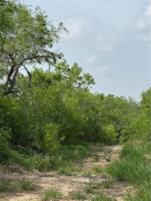 5525 Ravine, Robstown, TX 78380 - photo 10