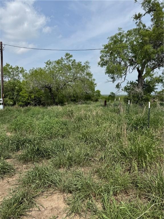 5525 Ravine, Robstown, TX 78380 - photo 2