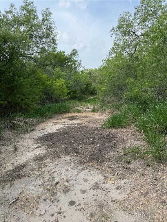 5525 Ravine, Robstown, TX 78380 - photo 11