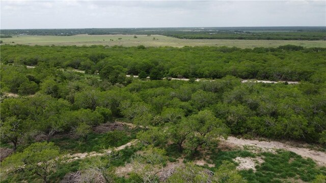 5525 Ravine, Robstown, TX 78380 - photo 13