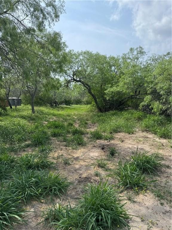 5525 Ravine, Robstown, TX 78380 - photo 4