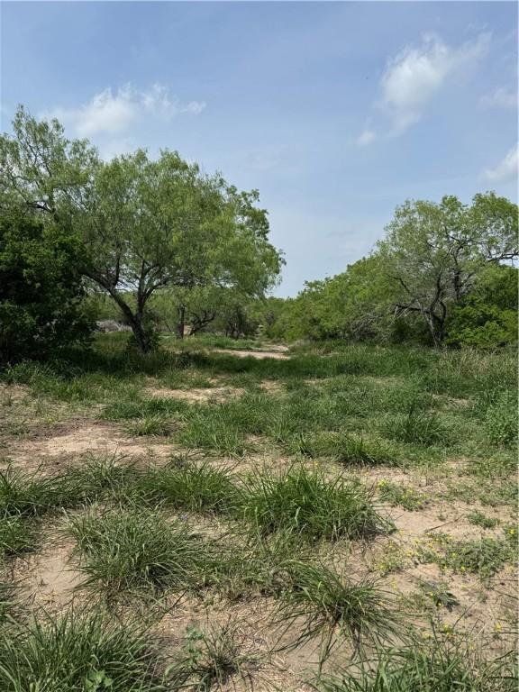 5525 Ravine, Robstown, TX 78380 - photo 3