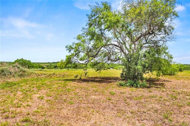 676 Fm 534, Sandia, TX 78383 - photo 33