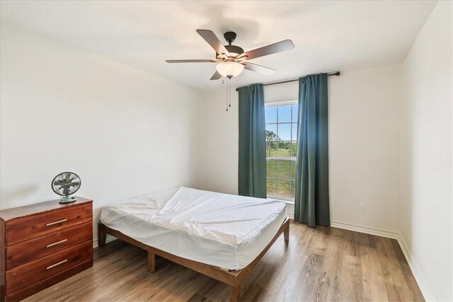 676 Fm 534, Sandia, TX 78383 - photo 22
