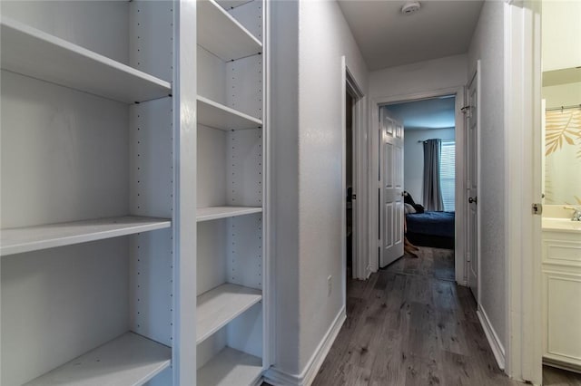 15957 San Felipe Dr, Corpus Christi, TX 78418 - hallway with wood finished floors and baseboards