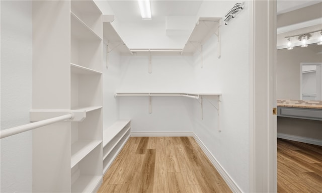 walk in closet featuring light hardwood / wood-style flooring