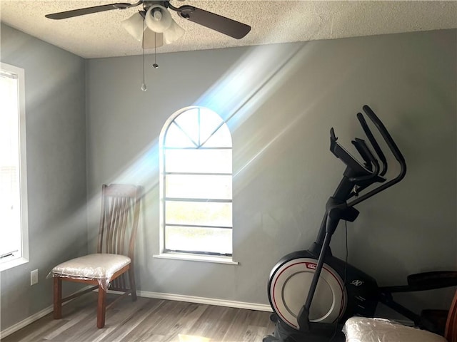 exercise room with hardwood / wood-style floors, a textured ceiling, and a wealth of natural light