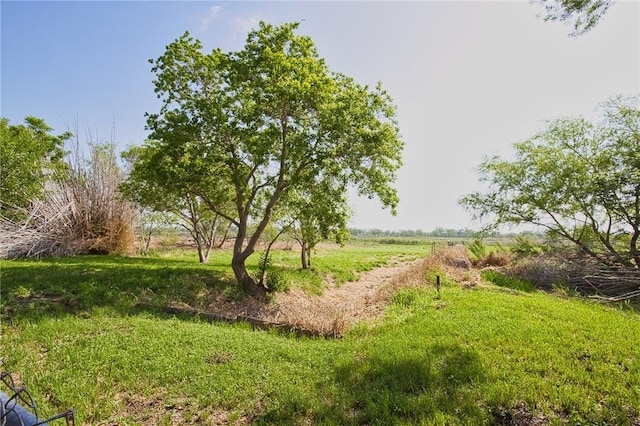 146 Lake Meadows Rd, Mathis, TX 78368 - photo 13