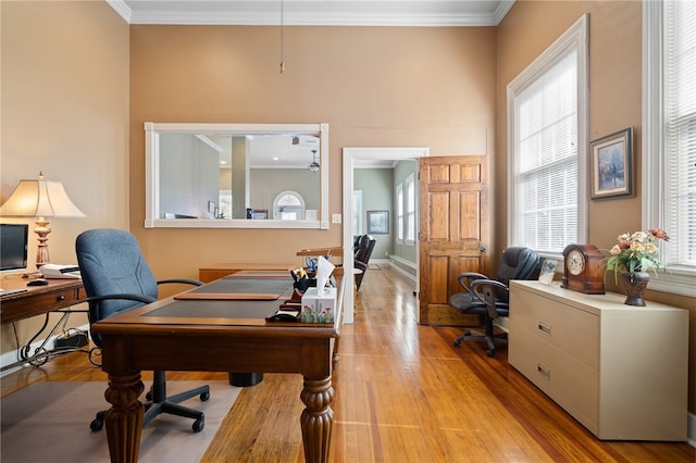 office space featuring light hardwood / wood-style floors, ceiling fan, and crown molding