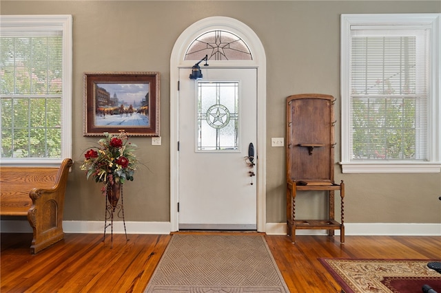 foyer featuring dark hardwood / wood-style flooring and plenty of natural light