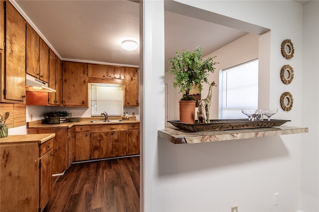 kitchen with dark hardwood / wood-style floors and sink